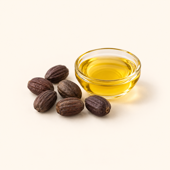 Jojoba seeds beside a glass dish of golden oil.