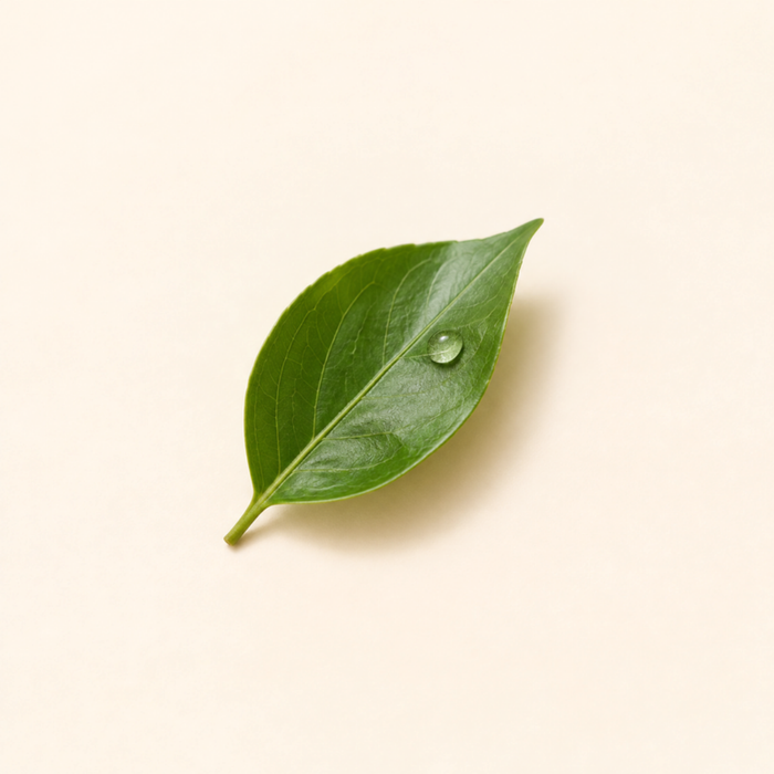 Sulfate-Free
